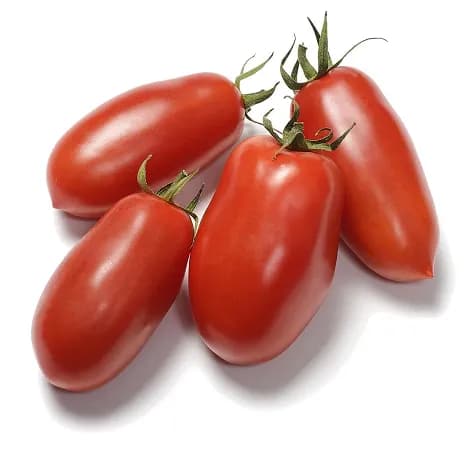 San Marzano